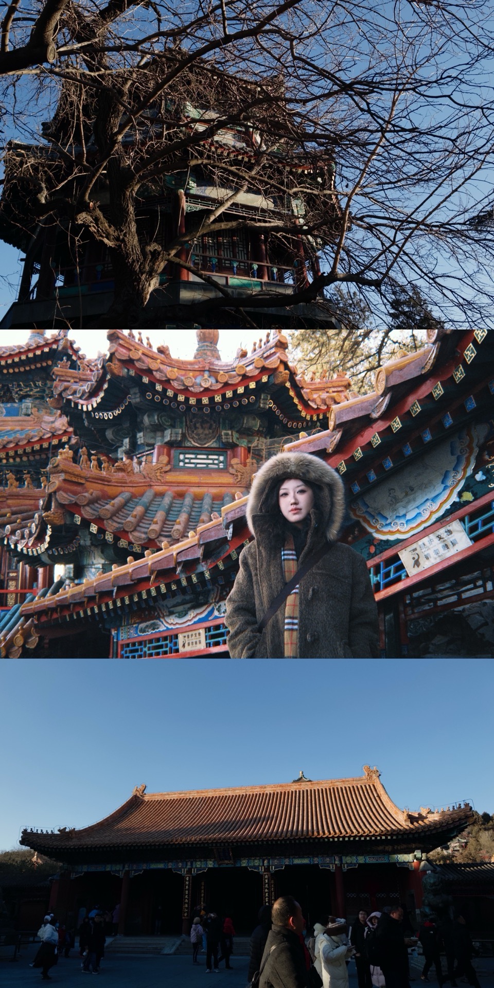 摄影组图 1-1